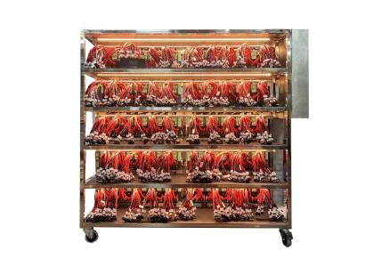 BMS Aging Rack